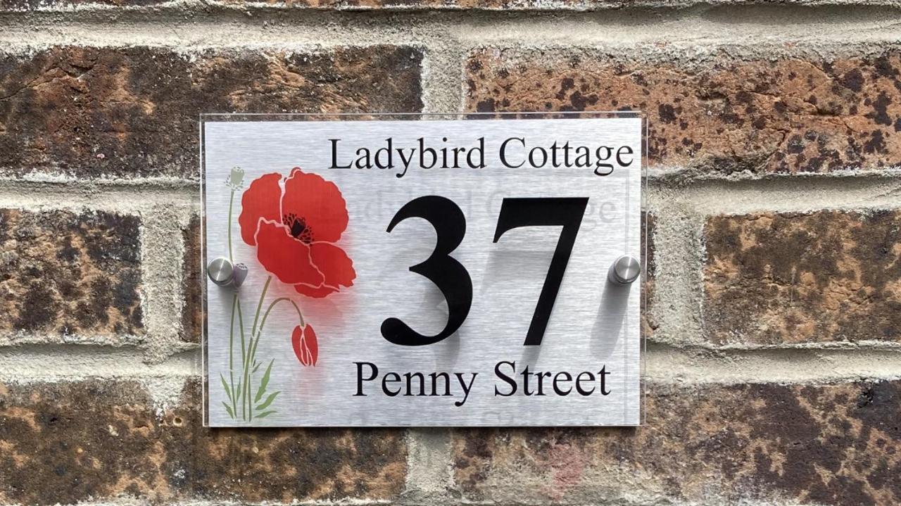 Ladybird Weymouth